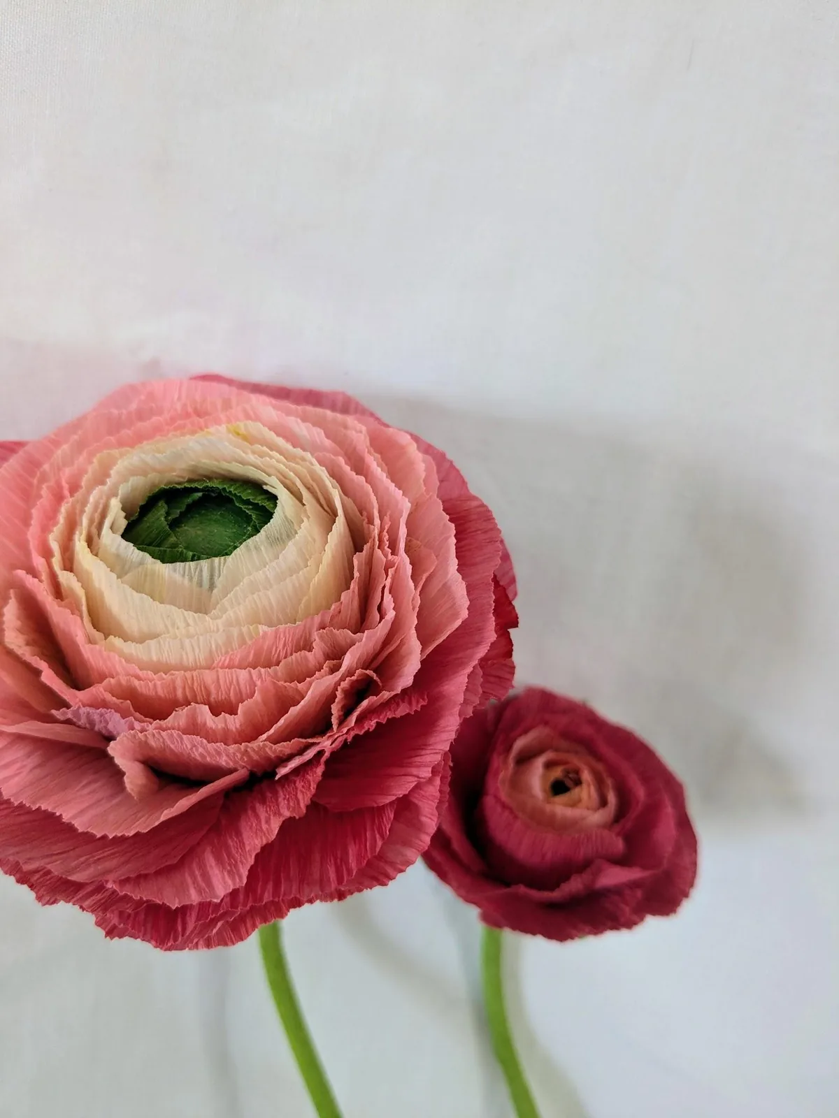 Détail des pétales superposés d’une renoncule en papier crépon